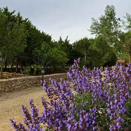 Bed & Breakfast Allu Ruvezzu Torre Mozza